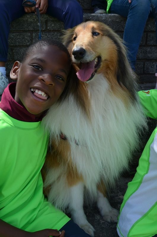 Carpe Diem extramural