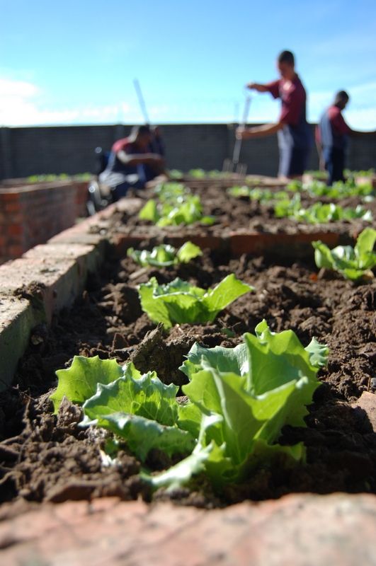 Carpe Diem curriculum