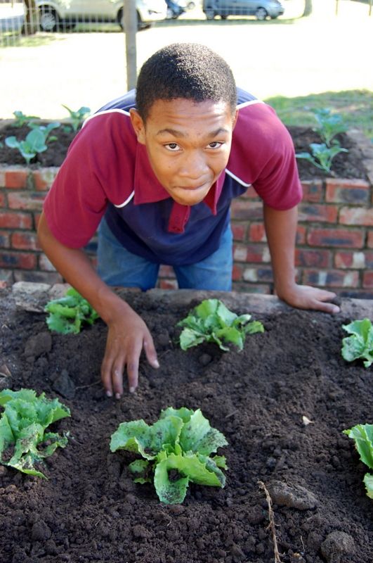 Carpe Diem curriculum